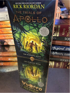 Unisex Disney-Hyperion Coffee Table Book One Size Green Gold